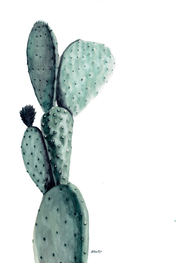 "Opuntia" is a watercolor painting of an Opuntia Ficus-Indica variety of prickly-pear cactus by artist Esther BeLer Wodrich