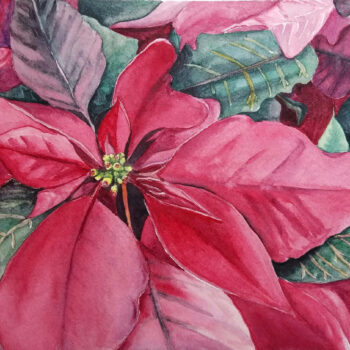 Watercolor poinsettia painting printed on premium 5"x7" cardstock for a folded Christmas card