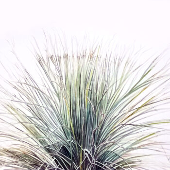 "Desert Grass" is a watercolor of a grassy desert plant by artist Esther BeLer Wodrich