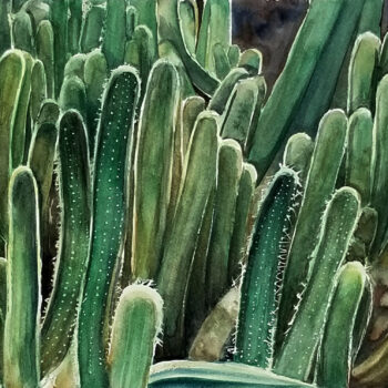 "Creeping Devils" is a watercolor painting of desert botanical succulent plants called the Creeping Devil Cactus by artist Esther BeLer Wodrich