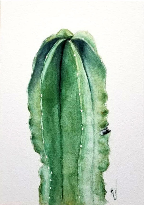 "Totem Top" is a watercolor on aquabord botanical painting of the top portion of a Totem Pole Cactus by artist Esther BeLer Wodrich