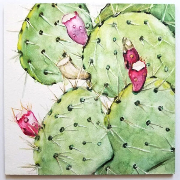 "Cactus Fruit" is a watercolor botanical painting on aquabord of a green prickly pear cactus with purple fruit by artist Esther BeLer Wodrich