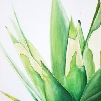 "Sunburnt Agave" is a desert botanical watercolor painting of an agave cactus plant by artist Esther BeLer Wodrich