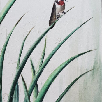Day 14, 2020 World Watercolor Month painting of a hummingbird by artist Esther BeLer Wodrich