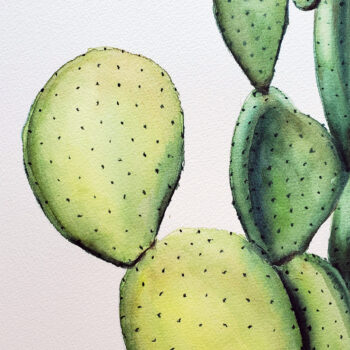 Day 18 2020 World Watercolor Month painting of a yellow and green prickly pear by artist Esther BeLer Wodrich