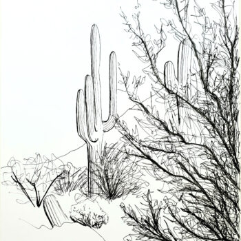 Day 2 of World Watercolor Month, a pen and ink sketch of tumbleweeds and desert flora by artist Esther BeLer Wodrich